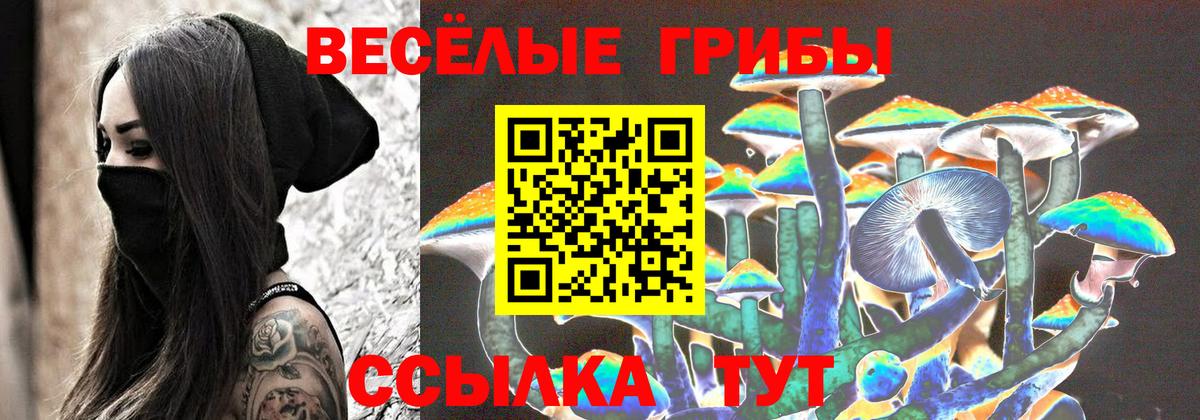 Псилоцибиновые грибы мухоморы  продажа наркотиков  Курчалой  Вход с VPN 