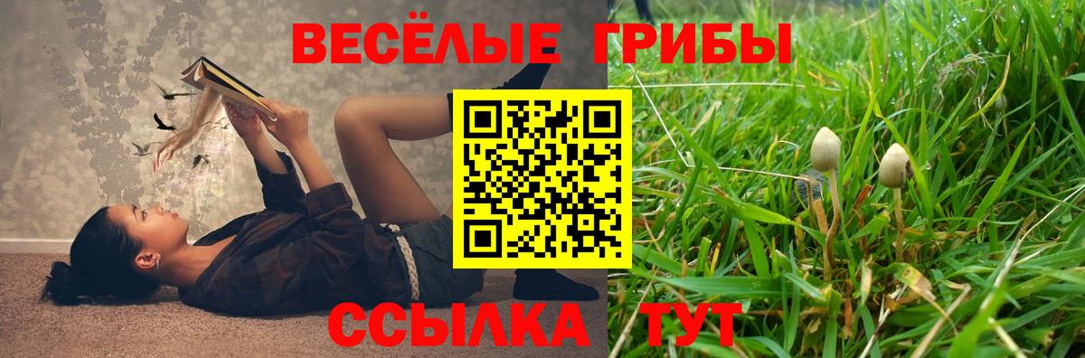 Псилоцибиновые грибы Magic Shrooms Курчалой